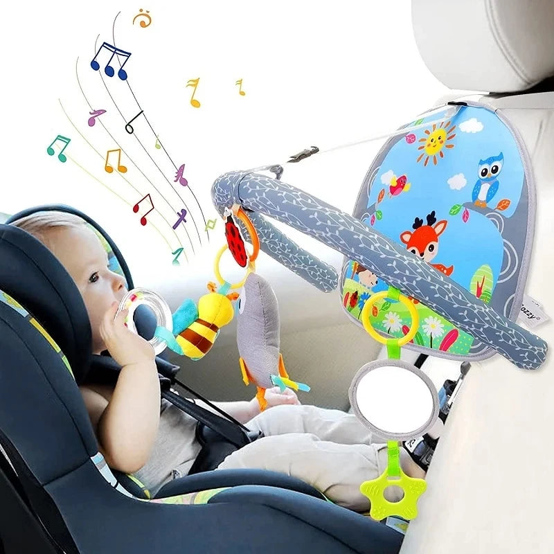 Rear Facing Car Seat Toy