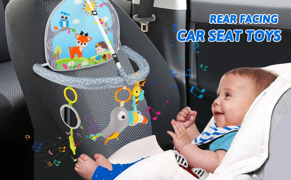 Rear Facing Car Seat Toy